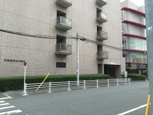 IMG_1149